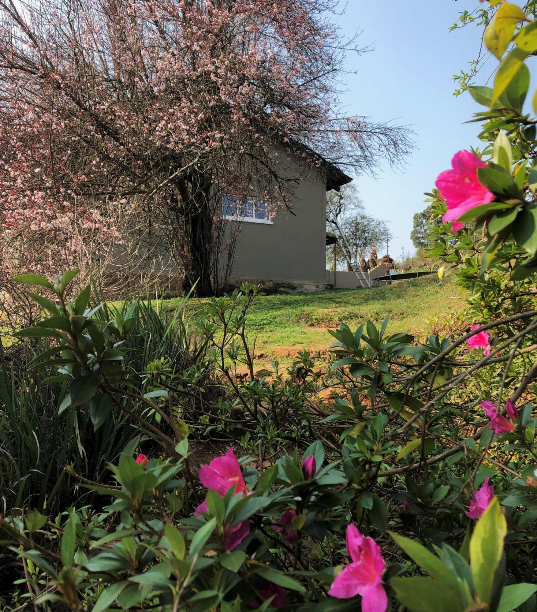דירות מחובסקלוף Rondebossie Farm Retreat חדר תמונה