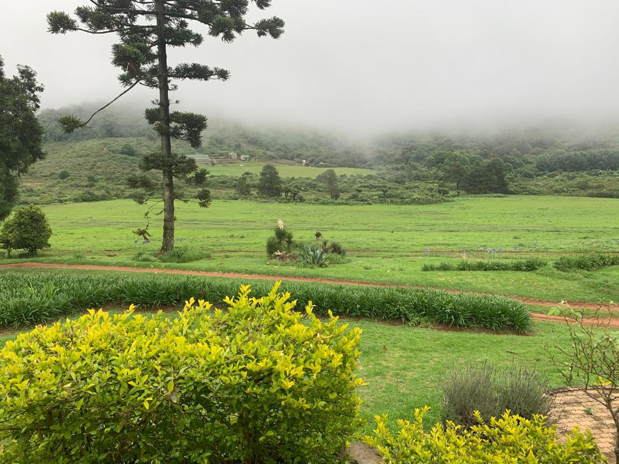 דירות מחובסקלוף Rondebossie Farm Retreat מראה חיצוני תמונה