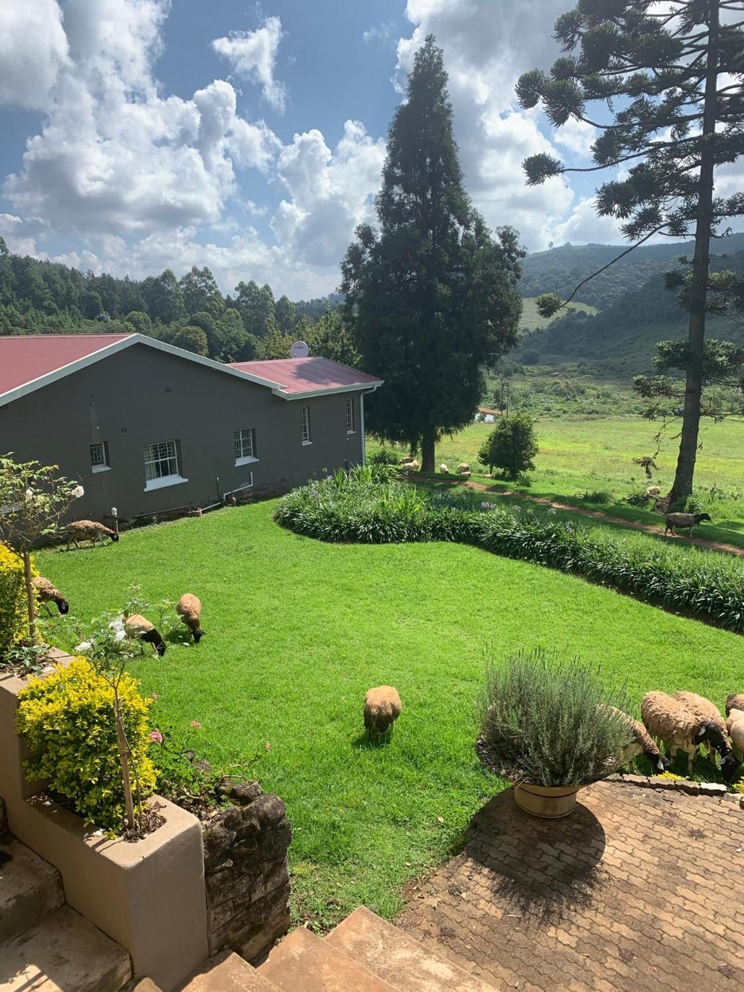 דירות מחובסקלוף Rondebossie Farm Retreat מראה חיצוני תמונה